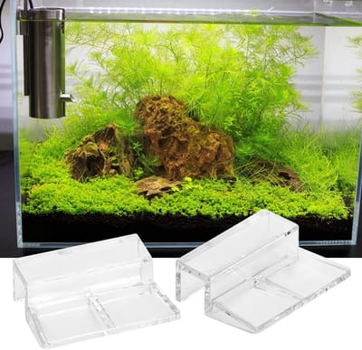 Set van 20 Glazen Dekplaat Bevestigingsclips voor Aquariums - Transparant, Stabiel en Eenvoudig te Installeren, Decoratief en Praktisch voor Jouw Aquarium (5mm)