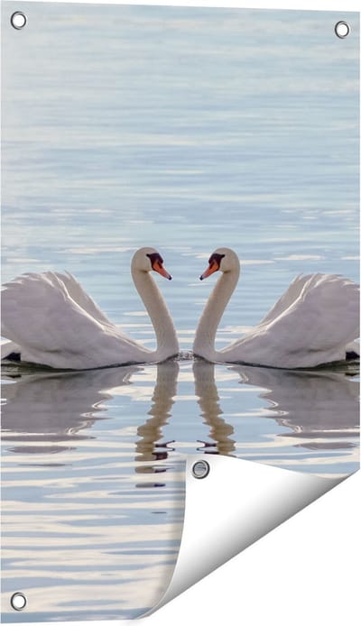 Gards Tuinposter Zwanen Koppel op het Water - 40x60 cm - Tuindoek - Tuindecoratie - Wanddecoratie buiten - Tuinschilderij
