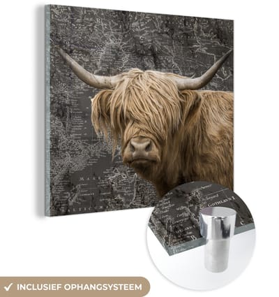 ® Glasschilderij 50x50 cm - Schilderij acrylglas - Schotse hooglander - Wereldkaart - Dieren - Foto op glas - Muurdecoratie woonkamer - Wanddecoratie slaapkamer - Schilderijen
