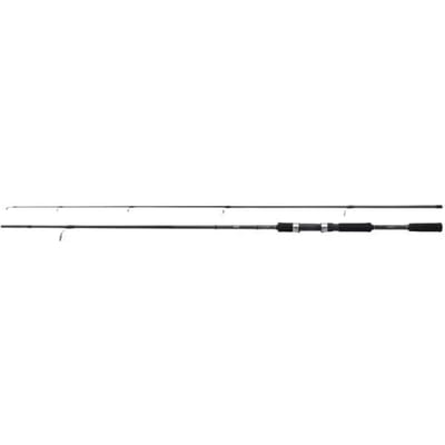 Shimano FX XT 2,70m (20-50g) - Spinhengel