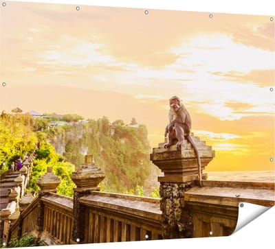 Gards Tuinposter Aap op de Uluwatu Tempel in Bali - 160x120 cm - Tuindoek - Tuindecoratie - Wanddecoratie buiten - Tuinschilderij