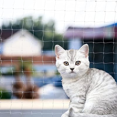 Dierenbeschermnet voor Balkon en Tuin - 4 x 3 m, Nylon Draad, Geen Boren, Inclusief 15 m Bevestigingskoord, Extra Transparant en Duurzaam
