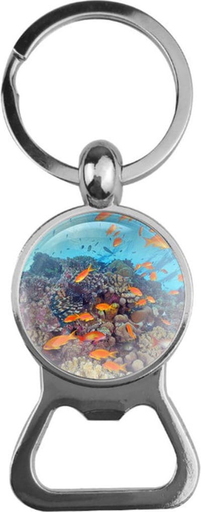 Bieropener Glas - Aquarium