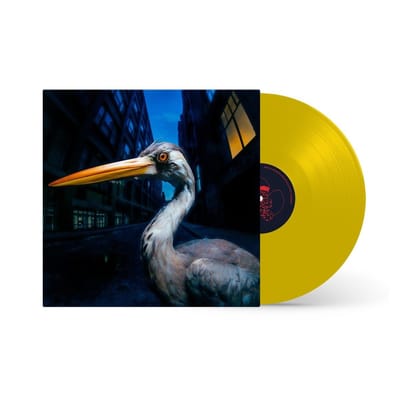 Antony Szmierek - Decoding Birdsong (LP) (Coloured Vinyl) (Indies Only)