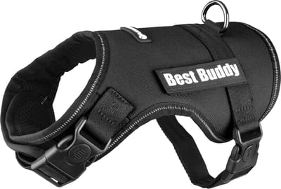 Flamingo Uranus - Harnas Honden - Harnas Best Buddy Uranus Zwart S 50-70cm 25mm - 1st - 122774 - 1st