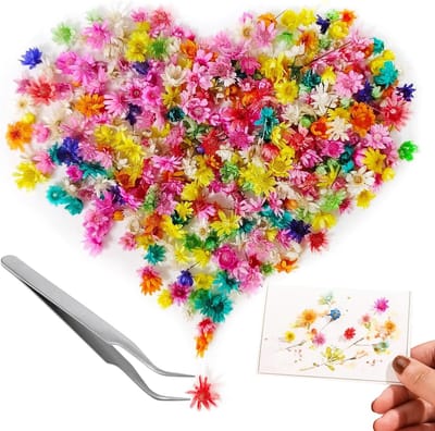 Dailygoods - 561 stuks decoratieve gedroogde bloemen voor hars, gedroogde bloemen voor kaarsen voor geurkaarsen, voor doe-het-zelf zeep maken, nail art, telefoonhoes, sieraden, oorbellen