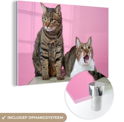 MuchoWow® Glasschilderij 30x20 cm - Schilderij acrylglas - Kat - Roze - Poef - Meisjes - Kinderen - Meiden - Kind - Foto op glas - Schilderijen