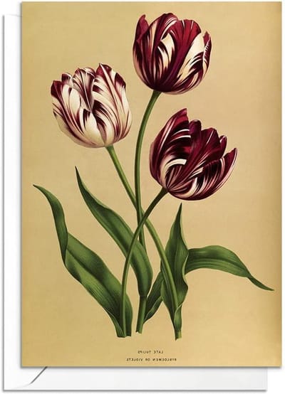 Botanische Wenskaarten - Vintage Kaarten - Persoonlijke Boodschap - Unieke Kunstprints - 125 x 175 cm - Meerkleurig