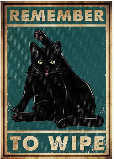 Nivard Are You Pooping Cat - Are You Pooping - Have A Nice Poop - Your Butt Napkins My Lord - Grappige Poster - 21x30cm