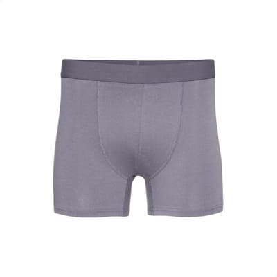 Boxer Colorful Standard Classic Organic purple haze