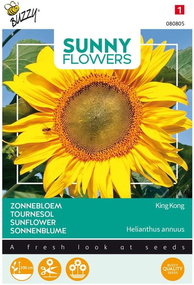 Buzzy® Sunny Flowers, Zonnebloem King Kong