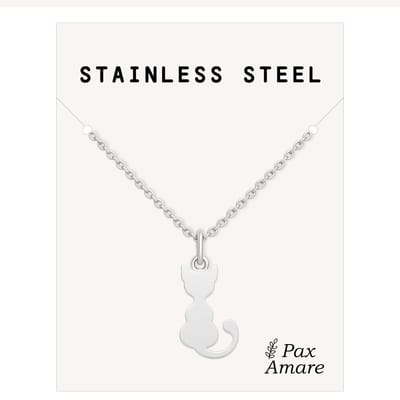 Stainless Steel Katje Ketting Zilverkleurig - 45cm + 5cm Verstelbaar Roestvrij Staal - Schattige Cadeau Hanger - Pax Amare
