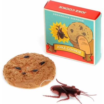 Koekjesgrap beeldje Rex London