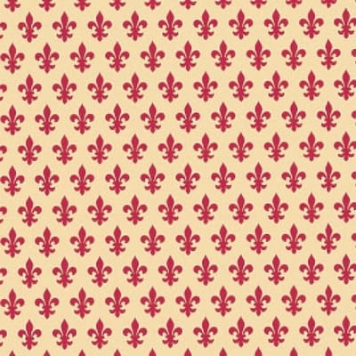 Lily Zelfklevende Folie Mini rol rood 45cmx2mtr