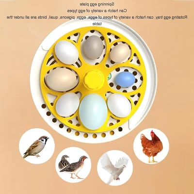Mini Eieren Incubator voor Thuis met Transparante Deksel - Geschikt voor Kippen- en Eendeneieren, Compact en Draagbaar met Handmatige Draaifunctie