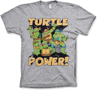 Teenage Mutant Ninja Turtles TMNT Turtle Power! T-shirt in heathergrijs