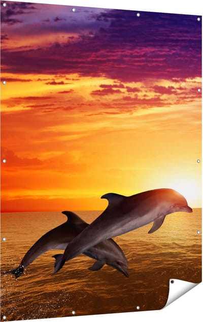 Gards Tuinposter Twee Dolfijnen bij de Zonsondergang - 120x160 cm - Tuindoek - Tuindecoratie - Wanddecoratie buiten - Tuinschilderij
