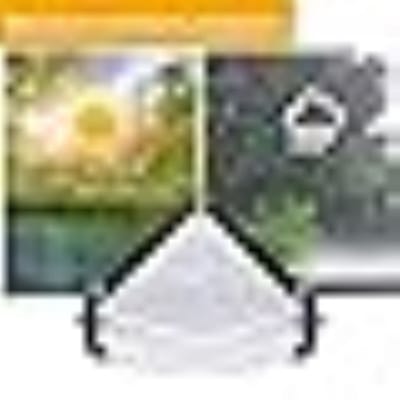 Helder polyzeil waterdicht met oogje, scheurbestendig transparant dekzeil, winddicht, waterdicht, voor buiten camping kinderdagverblijf/kas/tuin (kleur: helder, maat: 2 x 3 m)