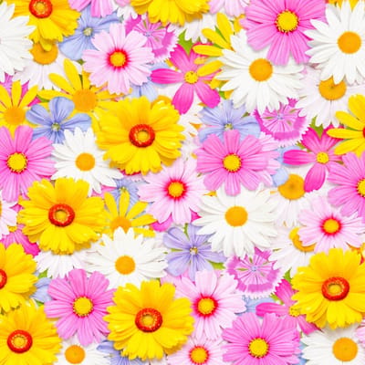 20 x Papieren tafel servetten 33cm Daisies mix 3-laags FSC Ecolabel Milieuvriendelijk bbq | picknick | feest |
