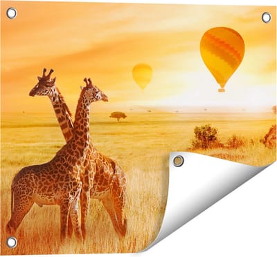 Gards Tuinposter Twee Giraffen met Twee Oranje Luchtballonnen - 50x40 cm - Tuindoek - Tuindecoratie - Wanddecoratie buiten - Tuinschilderij