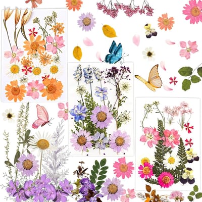 Allecto Plus - Geperste Bloemen Set Doe-Het-Zelf - 58 Stuks - Natuurlijke Gedroogde Bloemen - Fotolijsten - Reliëfschilderijen - Make-Up Manicure