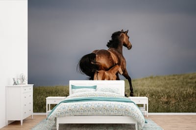 Behang - Fotobehang Dieren - Paarden - Veulen - Breedte 390 cm x hoogte 260 cm