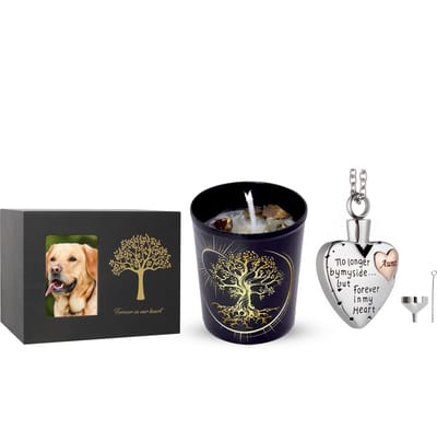 XXL Crematie Urn Set - Urn - As urn - As hanger - Mini Urn - Crematie As - As Ketting - As Bewaren - Begrafenis Urn - Herdenking Urn - Incl. Asvuller en Opbergzak