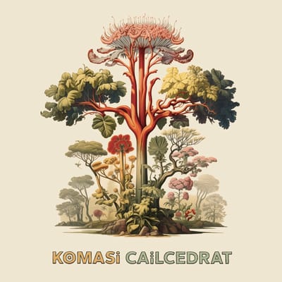 Komasi - Caïlcedrat (CD)