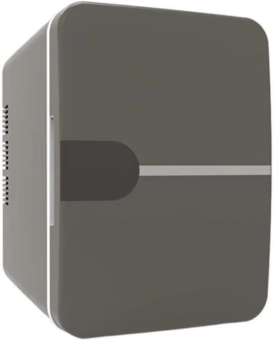 Draagbare Mini Koelkast voor Auto en Thuis - Koelen en Verwarmen met 12V/220V Verbinding
