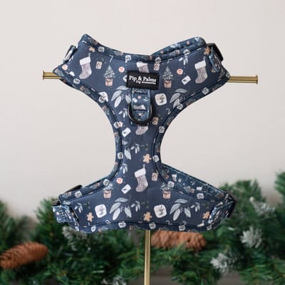 Pip & Palms - Kerst Hondenharnas Cosy Christmas - Blauw - Maat XXS - Hondentuig - Verstelbaar - Y Tuig Hond - Zachte Voering - voor Kleine honden