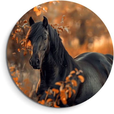 KitchenArt - Autumn Majesty - Muurcirkel Binnen - ø 60 cm - Wandcirkel - Mét Ophangsysteem - Wanddecoratie - Muurdecoratie