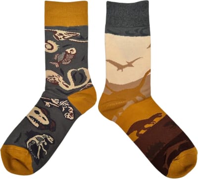 Tutti Footi - Dinosaurus Sokken - 2 verschillende Sokken met Dino's & Dinosaurusbotten - Maat 38/43 - Funny Socks dames/heren/tieners
