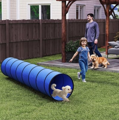MEUNIQ honden agility tunnel 300 x 50 cm met 4 grondankers en draagtas, pop-up speeltunnel voor kleine tot middelgrote honden, outdoor training in tuin of park, blauw