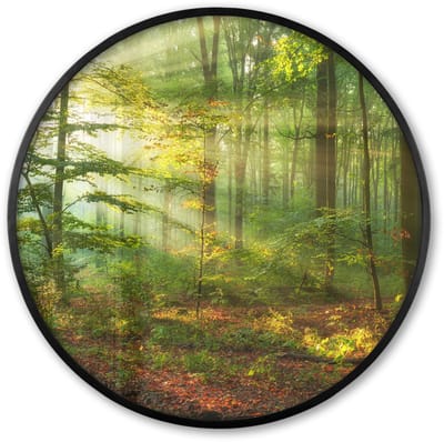 Poster in lijst Rond - Fotolijst 60x60 cm - Posters - Zon - Bos - Bomen - Natuur - Herfst - Ronde posterlijst zwart - Decoratie - Wanddecoratie woonkamer - Muurdecoratie slaapkamer