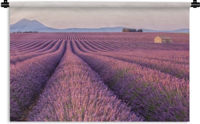 Wandkleed De lavendel - Uitgerekt paars lavendelveld tussen bergen Wandkleed katoen 120x80 cm - Wandtapijt met foto