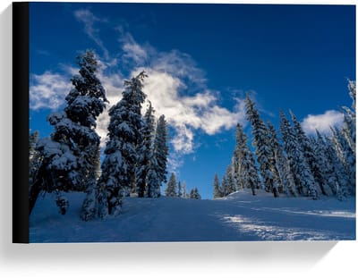 Canvas  - Blauwe Lucht met Besneeuwde Bomen - 40x30cm Foto op Canvas Schilderij (Wanddecoratie op Canvas)