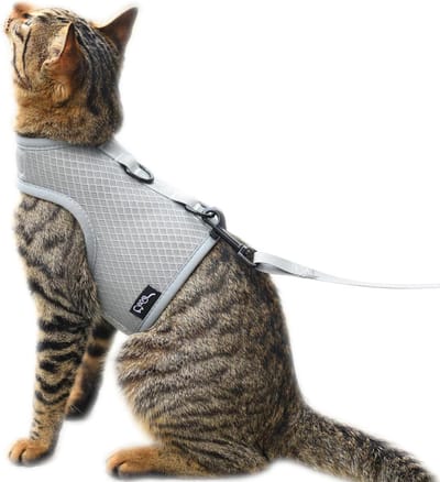Kattentuigje en riem, anti-ontsnapping, ademend mesh-weefsel, verstelbaar, gevoerd, elegant, grijs, maat XL