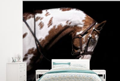 Behang - Fotobehang Paard - Halster - Vlekken - Breedte 325 cm x hoogte 260 cm