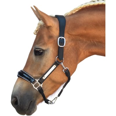 Leren halster voor paard Bridlery Eternity Warmblut