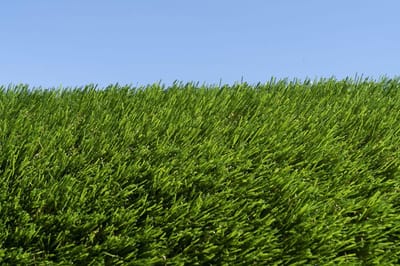 Kunstgras 2 x 10 meter - 40mm - Nederlandse Productie - Uitgeroepen zachtste Grastapijt | Waterdoorlatend | Tuin | Kind | Dier