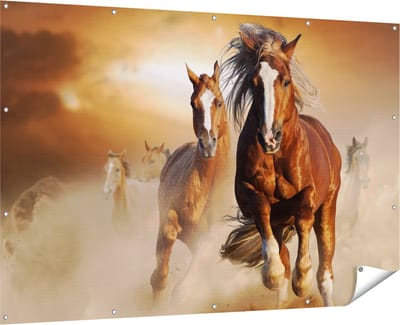 Gards Tuinposter Wilde Paarden in het Zand - 180x120 cm - Tuindoek - Tuindecoratie - Wanddecoratie buiten - Tuinschilderij