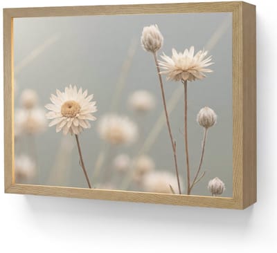 Wandlamp 40x30 cm - Oplaadbaar - Strobloemen - Wit - Daglicht - Wandlampen binnen woonkamer - Slaapkamer lamp - Decoratieve nachtlamp - Vloerlamp draadloos