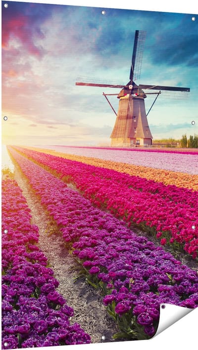 Gards Tuinposter Kleurrijke Tulpen Bloemenveld - Windmolen - 100x150 cm - Tuindoek - Tuindecoratie - Wanddecoratie buiten - Tuinschilderij