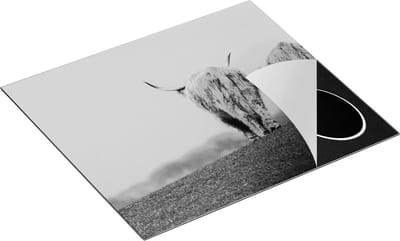 Chefcare Inductie Beschermer Twee Schotse Hooglanders Koeien Lopen Weg - Zwart Wit - 60x50 cm - Afdekplaat Inductie - Kookplaat Beschermer - Inductie Mat