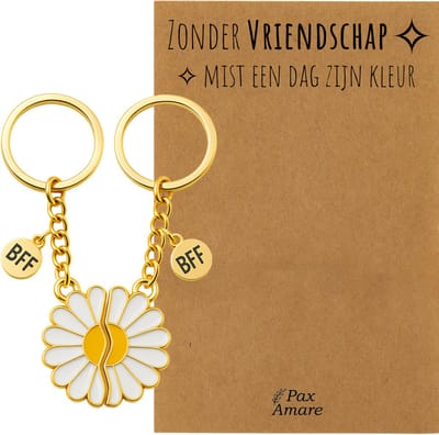 BFF Sleutelhanger voor 2 'Zonder Vriendschap mist een dag zijn kleur' - Magnetische Bloem - Sleutelhanger set op Cadeau Kaartje - Goudkleurig - Vriendschap Symbool - Pax Amare