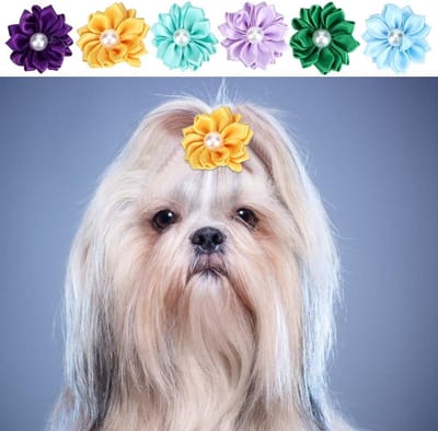 Dailygoods- Haarelastiekjes Slijtvaste - 30 stuks - Niet-giftig - Meerdere kleuren - Geschikt voor honden - Geschikt voor katten - Hondenaccessoires