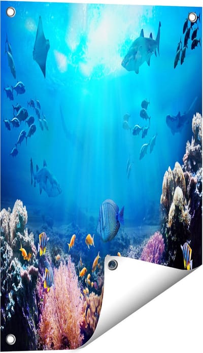 Gards Tuinposter Vissen met Haaien in de Oceaan met Koraalrif - 40x60 cm - Tuindoek - Tuindecoratie - Wanddecoratie buiten - Tuinschilderij