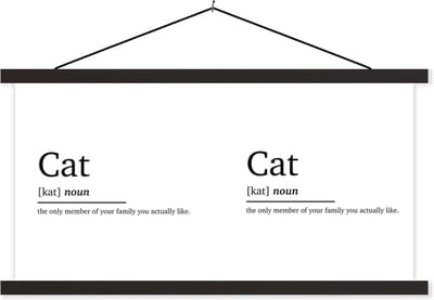 Posterhanger incl. Poster 60x30 cm - Schoolplaat - Kat definitie - Woordenboek - Spreuken - Quotes - Cat - Textielposter - Zwarte latten