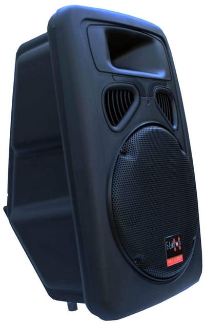 E-Lektron JP30 PA luidspreker - 12 inch - Passief - 800W