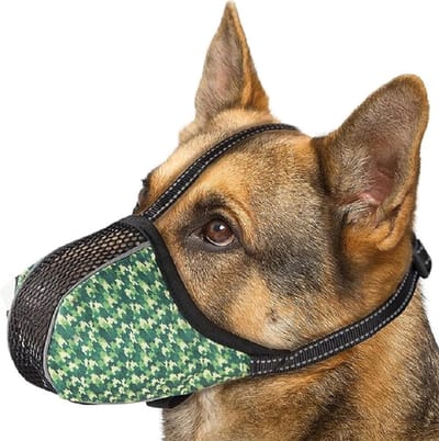 Hondenmuilkorf - Hondenmondbeschermer - Veiligheid Hond - Zacht Ademend Nylon - XL - Groen